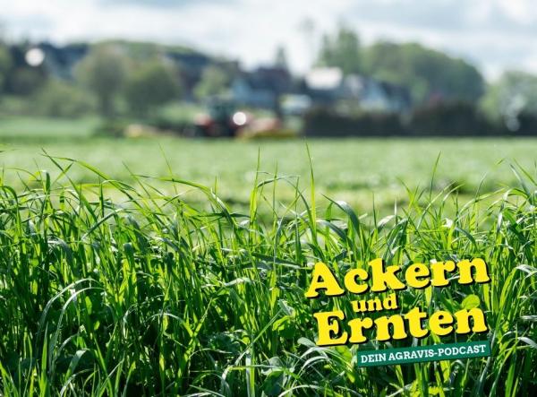 AGRAVIS-Podcast: Erfolgreich ins Weidejahr - Grünlandpflege, Anweiden & erster Schnitt