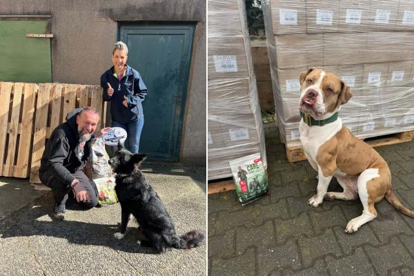 15 Tonnen Tierfutter für sechs Tierheime: Martin Markowsky versorgt mehr als 500 Hunde bundesweit