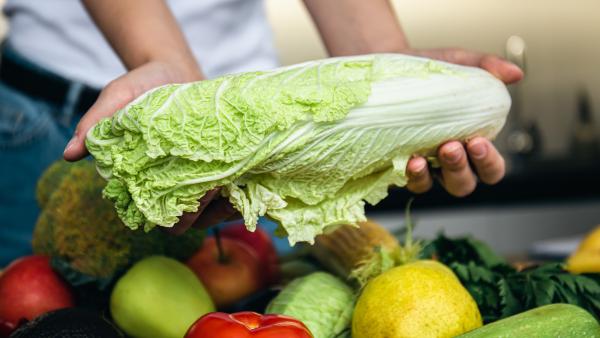 So optimiert Alois Schwarz GesmbH & Co KG die Versorgung von Spitälern und Altenheimen