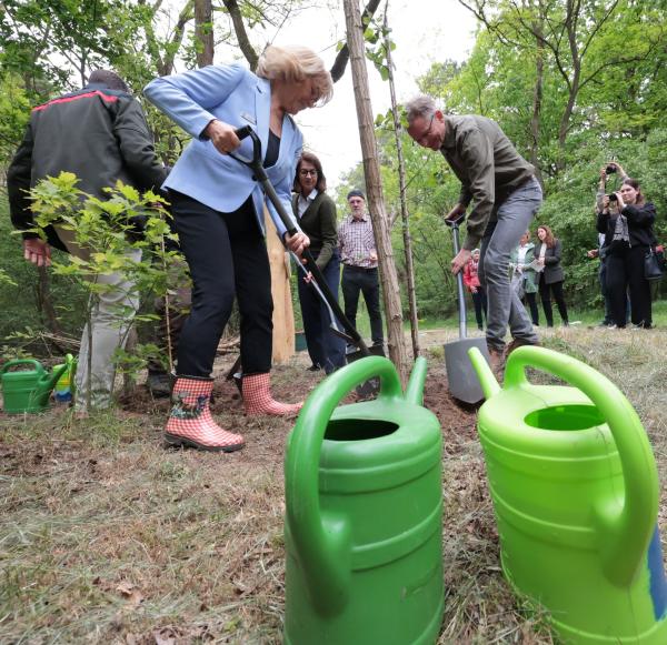 Pionierprojekt für Brandenburgs Wälder: Startschuss für den "Diedersdorfer Dauerwald"