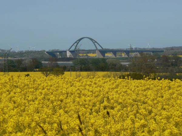 Der Immobilienmarkt in Fehmarn: Trends und Entwicklungen