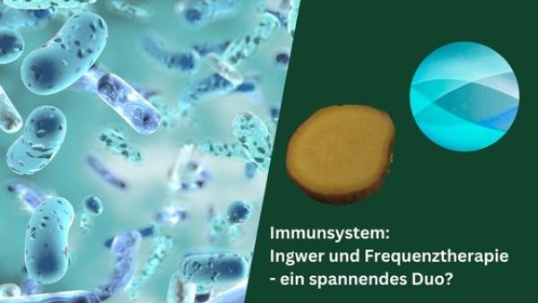 Immunsystem: Ingwer und Frequenztherapie &ndash; ein spannendes Duo?