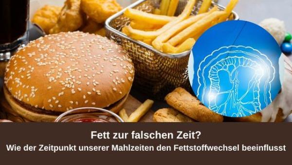 Fett zur falschen Zeit? Wie der Zeitpunkt unserer Mahlzeiten den Fettstoffwechsel beeinflusst