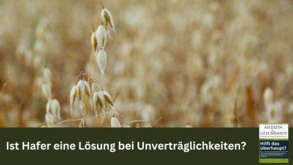 Ist Hafer eine Lösung bei Unverträglichkeiten?