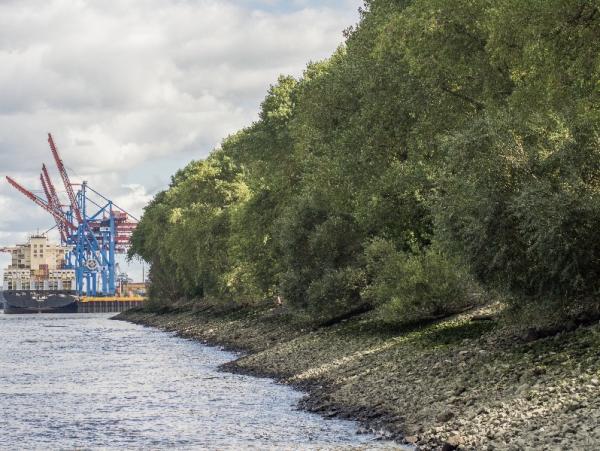 Interessenskonflikt im Hamburger Hafen eskaliert