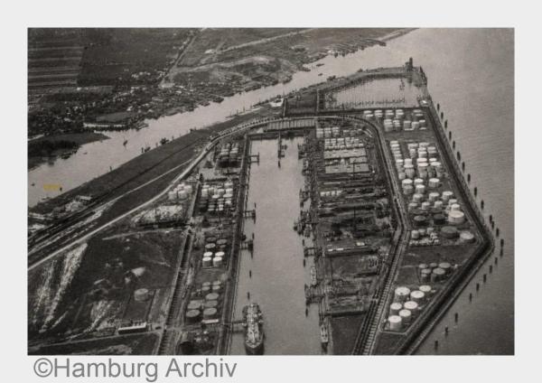 Der Elbwald wird 100 Jahre alt