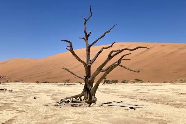 Letzte Chance: Namibia-Sonderreise 2026 mit dem KrautTrotter&reg;-Team