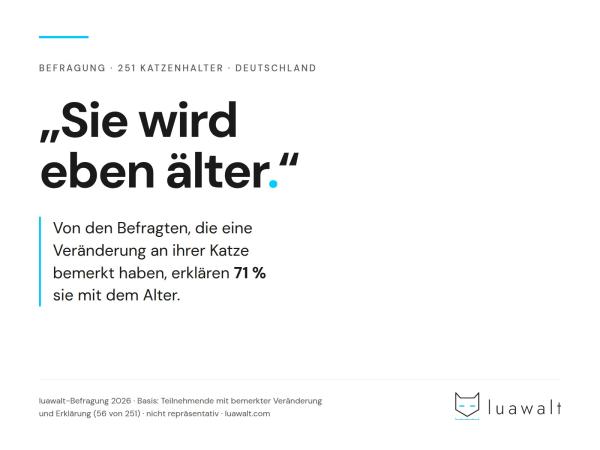 "Sie wird eben älter" - warum Katzenhalter Warnzeichen richtig sehen und trotzdem falsch deuten