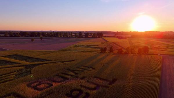 Mehr als 35 Kilometer Umrisslinien: GEOXIP schafft am Flughafen München eine Straße aus Geobrandings