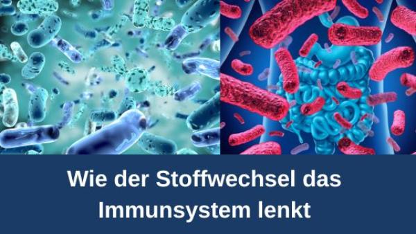 Wie der Stoffwechsel das Immunsystem lenkt
