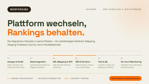 Plattformwechsel ohne Rankingverlust beim Onlineshop