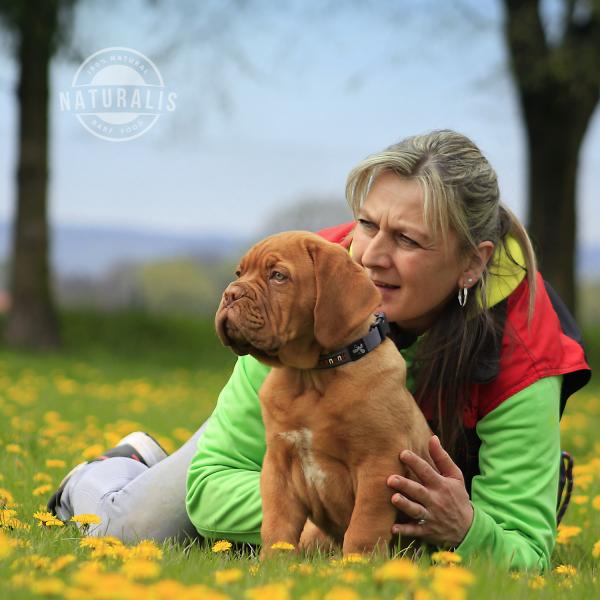 TrockenBARF vergleichen: 10 Kriterien für gutes Hundefutter
