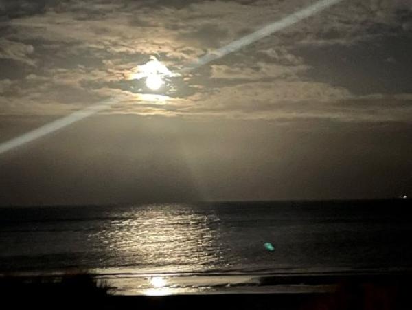 Baugrundstück auf Rügen nahe der Ostsee 423 m&sup2; für nur 99000,00 &euro;