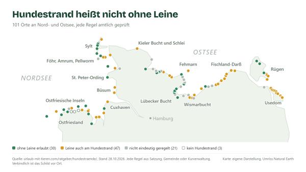 Hundestrand heißt nicht ohne Leine