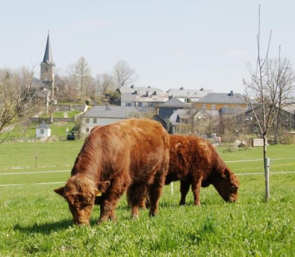 HAHN-FLEISCH Qualitätsfleisch eine feste Größe in München