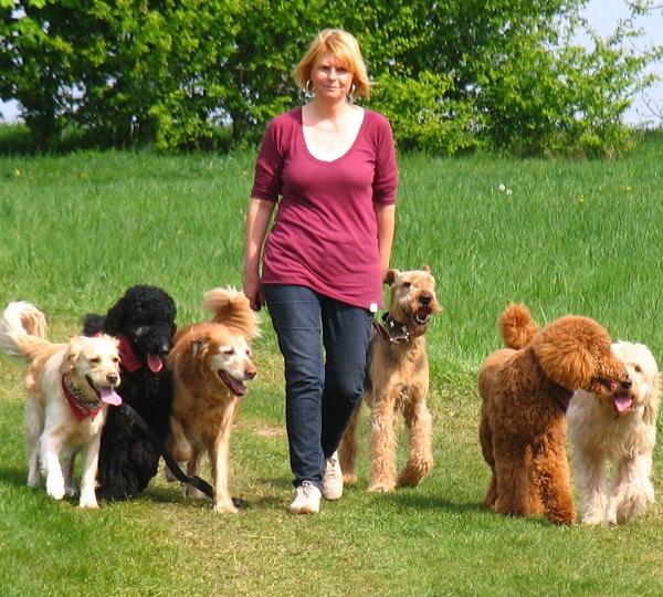 16. Juli  Ein gut erzogener Hund ist kein Zufall: Autorität und Disziplin sind unerlässlich