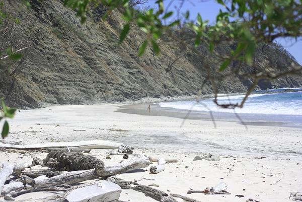 Auswandern ins Naturparadies und an einem exotischen Traumstrand wohnen
