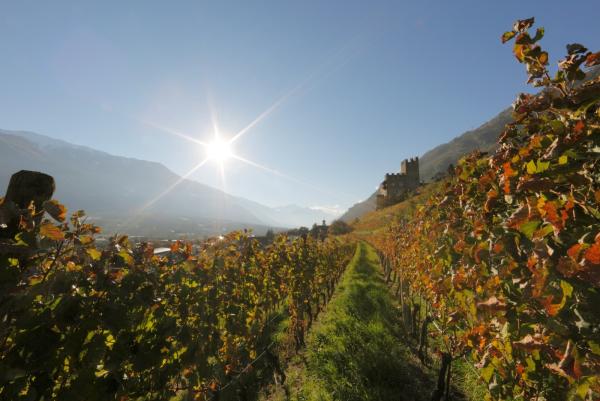 Wieso scheint in Südtirol immer die Sonne?