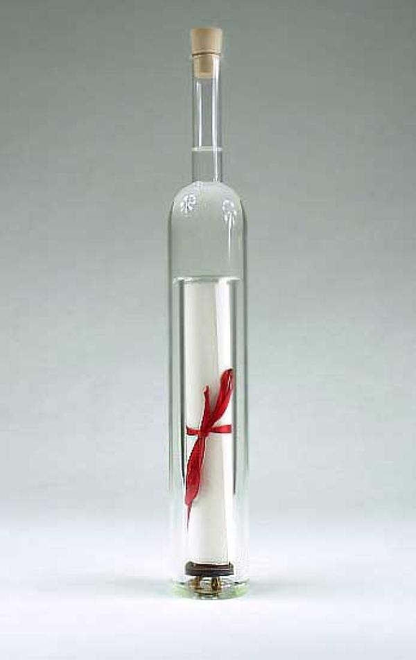 Funflaschen.de für alles, was in eine Flasche passt – die einzigartige Geschenkverpackung