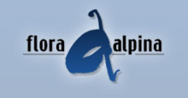 Die Rigi im Winter erleben 