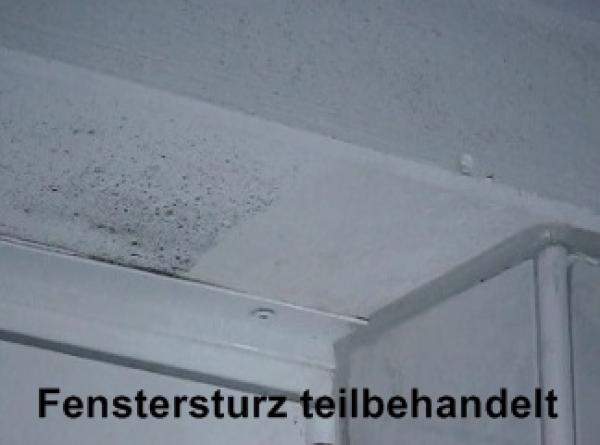 Schimmelentfernung mit leistungsstarkem Profiprodukt!