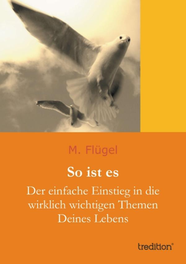 Heilung ganz ohne Guru – neues Buch für Einsteiger erklärt die wesentlichen Dinge des Lebens