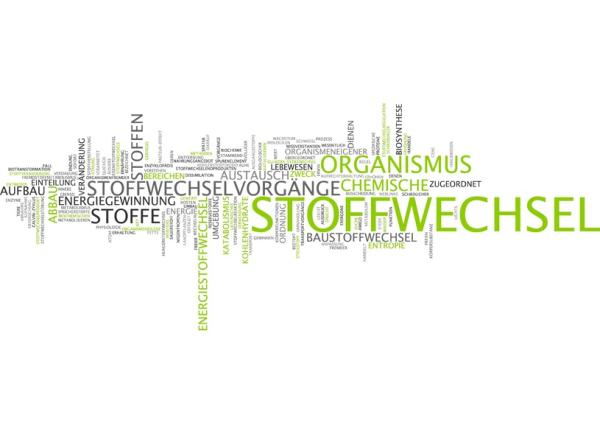 Einsatz von Mikrostrom in der Cellsymbiosistherapie© nach Dr. med. Heinrich Kremer