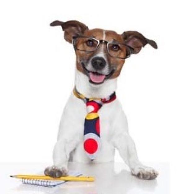 Ein Herz für Hunde – Pro Einkauf 1 Euro Spende 