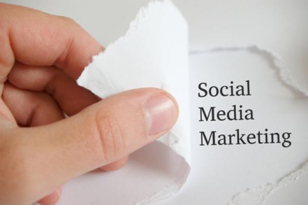 Erfolgreiches Online-Marketing mit Facebook, Google+, XING und LinkedIn